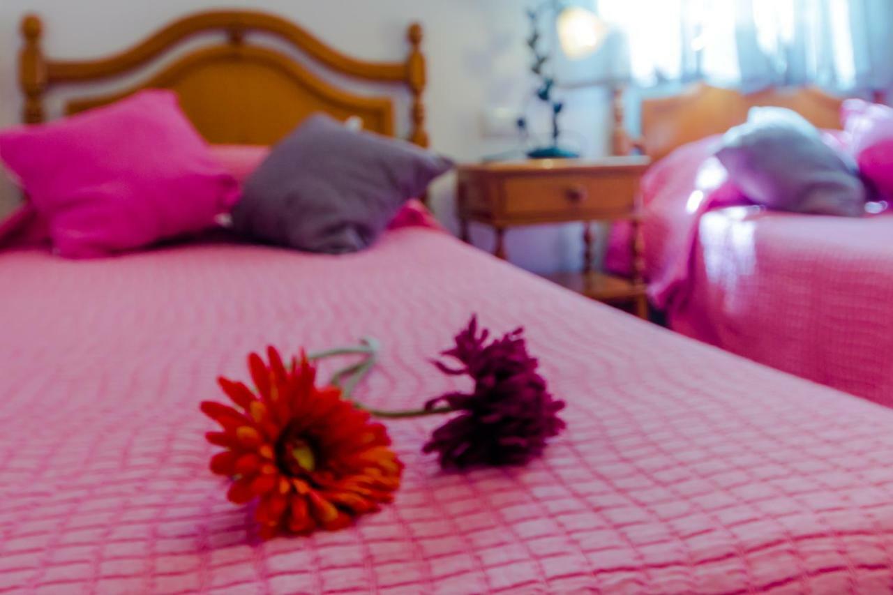 Apartamento Calle Alta 科尼尔-德拉弗龙特拉 外观 照片